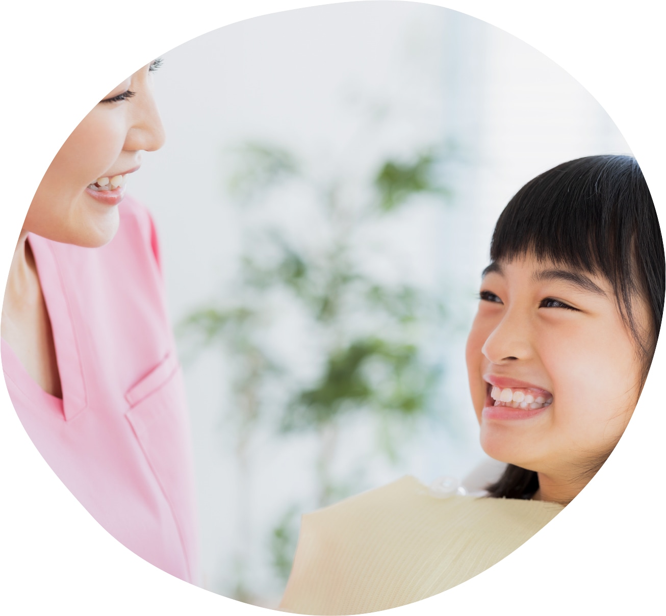 矯正歯科
